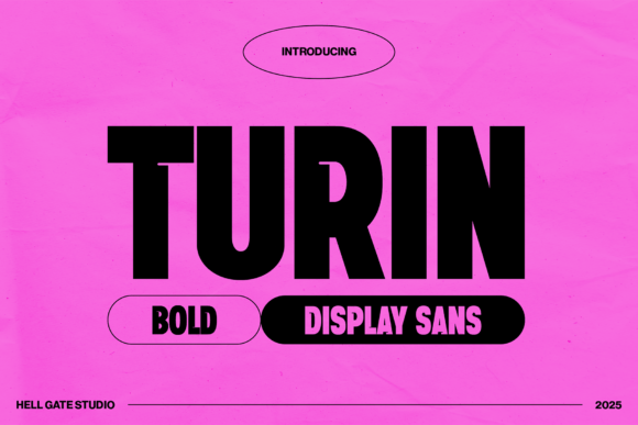 Turin: A Bold Display Sans for Digital Design